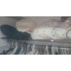 Image 4 : Contents of Closet- Women's Clothing/ Assorted Sizes (8)