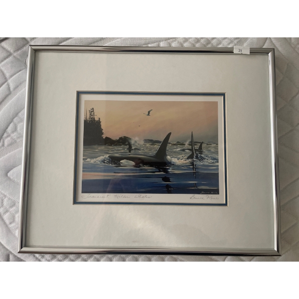 Bruce Muir - Transient Killer Wales Art Card 14 x 11
