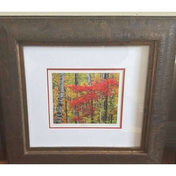 "Fall" , Artist: Illegible, 100/950 , 20.5 X 19 Framed Under Glass