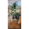 Image 8 : Display Shelf 21x29x64 w/ Decorative Faux Plants & More