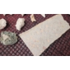 Image 15 : Coral and Fossil Fragments