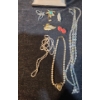 Image 1 : Assorted Fashion Jewelry- Pins and Necklaces