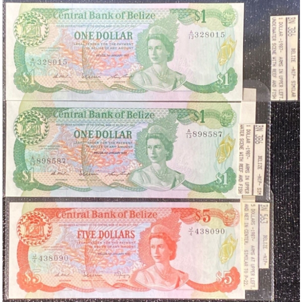 Collection of Belizean Paper Money