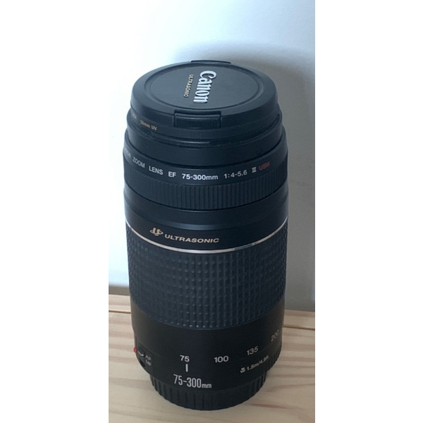 Canon Zoom Lens EF 75-300mm 1:4-5.6 III