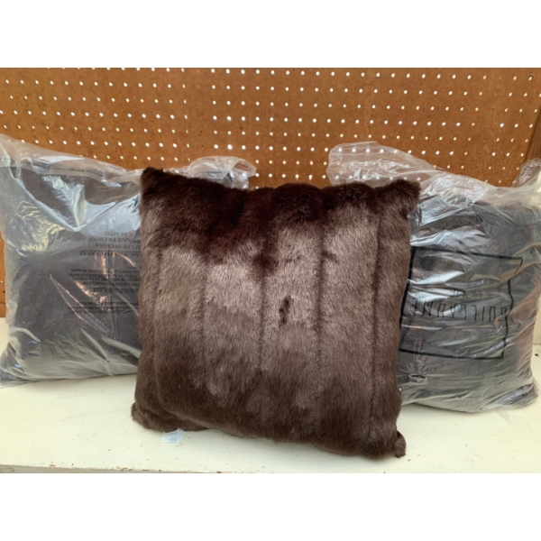 New Set of Two Fuzzy decor pillows and Blanket