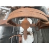 Image 1 : large Duke trap # clear D bear trap