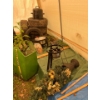 Image 7 : Carport with contents made by shelter logic in good condition also a pile of tongue and groove board