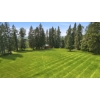Image 16 : Discover the perfect blend of peaceful country living and convenience on this stunning 10+ acres
