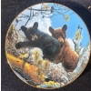 Image 4 : Decorative Collector Plates