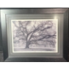 Image 2 : Harriet Blum "Ancient Oak" Framed Print