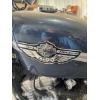 Image 5 : Harley Davidson 883 Sportster Motorcycle 100th anniversary