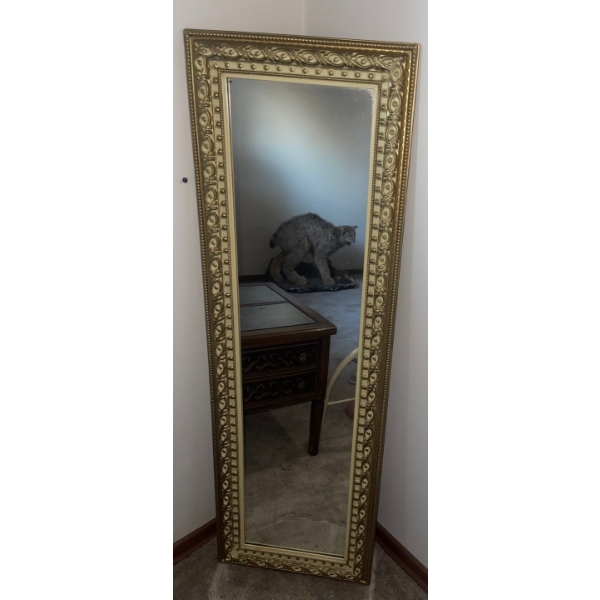Gold Gilt Standing Wall Mirror 59T