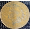 Image 6 : American Indian Head Pennies