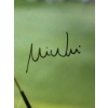 Image 4 : Mike Weir Signed 2003 Masters Champion Limited Edition Framed Photo