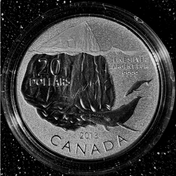 2013 $20 for $20 Iceberg and Whale - 99.9% Fine Silver Coin #1