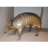 Image 1 : Armadillo Taxidermy 15 W, 10 T 