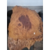 Image 3 : Natural Burl Wood Accent Table 32 W, 19.5 D, 17 T 