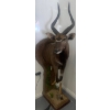 Image 1 : African Nyala Torso 23W x 35D x 74T