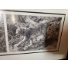 Image 4 : Canadian Lynx Tryptych by Carl Brenders Ltd Edition Print 331/1750 41 w 18 h