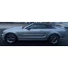 Image 1 : 2006 Ford Mustang GT V8 F SOHC 136K Convertible Silver 2 Door