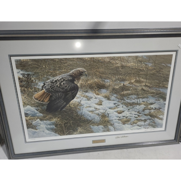 Numb. Print 513/950 "Spring Thaw- Redtailed Hawk", Artist Robert Bateman, 43 X 29 Framed Under Glass