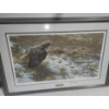 Image 1 : Numb. Print 513/950 "Spring Thaw- Redtailed Hawk", Artist Robert Bateman, 43 X 29 Framed Under Glass