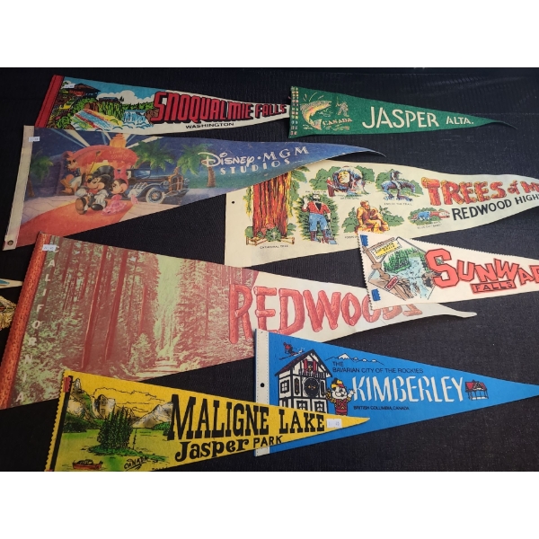 Pennants Including: Disney MGM, Redwoods, Jasper and More!