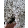 Image 2 : Rabbit Fur Poncho 45 L, 40 W
