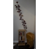 Image 1 : Collection Of Various Home Decor- Wall Art, TV Tables(4), Small Book Shelf ++ Books