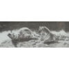 Image 3 : Numbered Prints 682/1968 "Pair Bond" 29.5 x 15.5,  219/500 "Dire" 20.5 x 16.5, Artist Owen Garratt