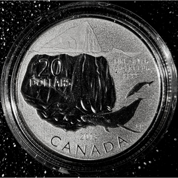 2013 $20 for $20 Iceberg and Whale - 99.9% Fine Silver Coin - #2