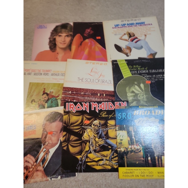 Vinyl Records Collection - Iron Maiden Rex Smith & More