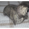 Image 3 : Soapstone Carvings: Seal 2 W, 3.5 D, 2.5 T - Owl 3 W, 2 D, 3.5 T 