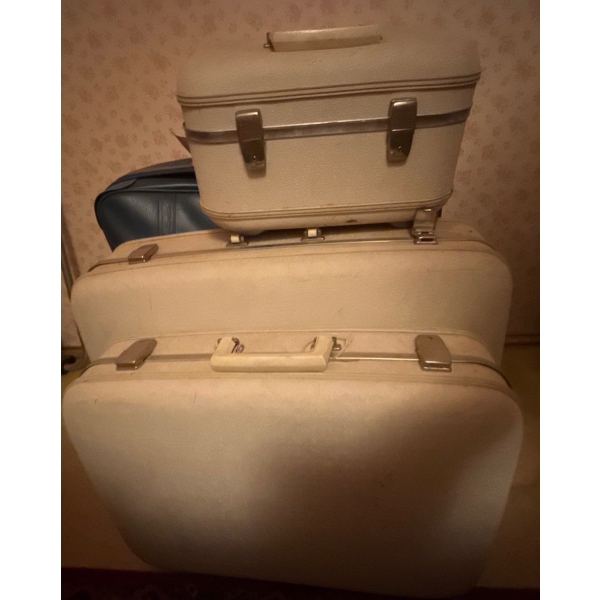 Vintage Hard Shell Luggage Set 
