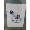 Image 5 : Prints "Jacobin" and "Purple Breasted Carib", Framed Under Glass 17.5 X 22 