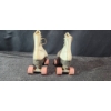 Image 4 : Let the Good Times Roll! - Vintage SZ 5 White Roller Skates