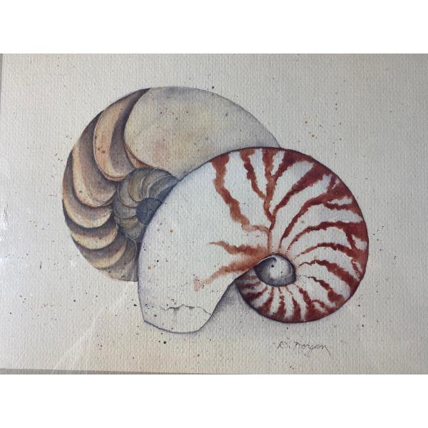 Shells Painting by Dorris Morgan (13.5 x 5.5" Before Frame)