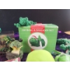 Image 5 : Ribbit and Relax! Fun Frog Finds to Add a Splash Of Luck to Your Life!