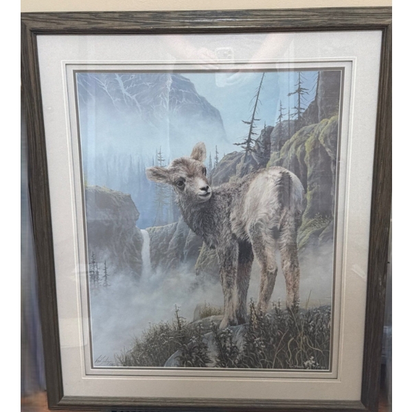 Print of Baby Sheep 223/950, Artist: Rod Tribiger, 30 X 35 Framed Under Glass