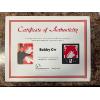 Image 2 : Bobbie Orr signed Team Canada jersey With certificate in a beautiful solid Black frame with UV glass