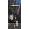 Image 4 : Home Decor and Accessories, Including Frames and Collectibles