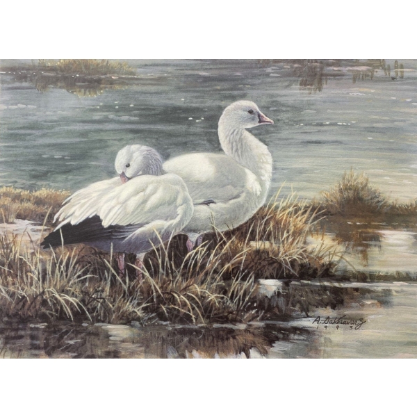 Alan Sakhavarz "Morning Light: Ross' Geese" Signed Wildlife Habitat Canada Print