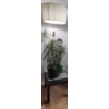 Image 1 : Hanging Swag Ceiling Light, Ikea Side Table, and Plant