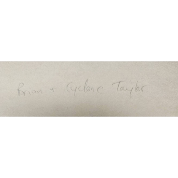 Brian McFarlane Hockey Memorabilia Collection with Photos and Posters