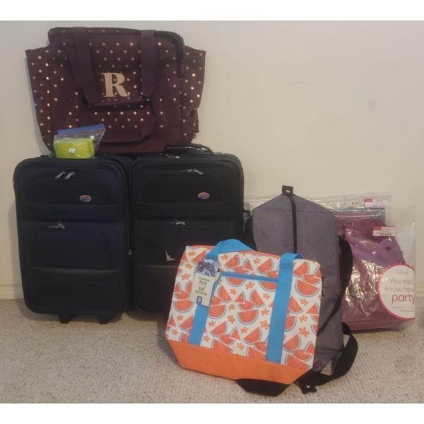Two Small Luggage With Handles And Wheels