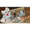 Image 1 : - Stuffed Animals Including: Kersa Cat, Gund, and More! Mouse 10 T, Cat 6.5 T