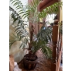 Image 3 : Modern Flower Art Paintings x2 With Large Silk Plant In Pot And Hanging Plant Planter 