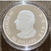Image 3 : 2024 $20 Remembrance Day Fine Silver Coin 31.39 Grams