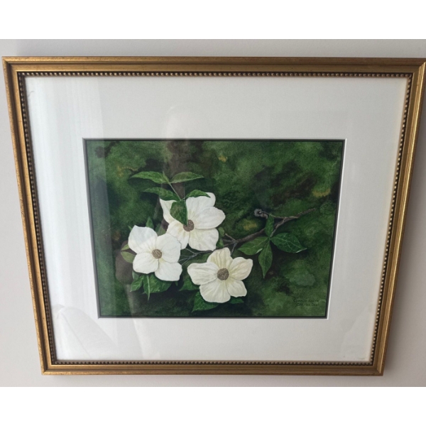 Botanical Print Of Cornus (Dogwood) Blossoms 