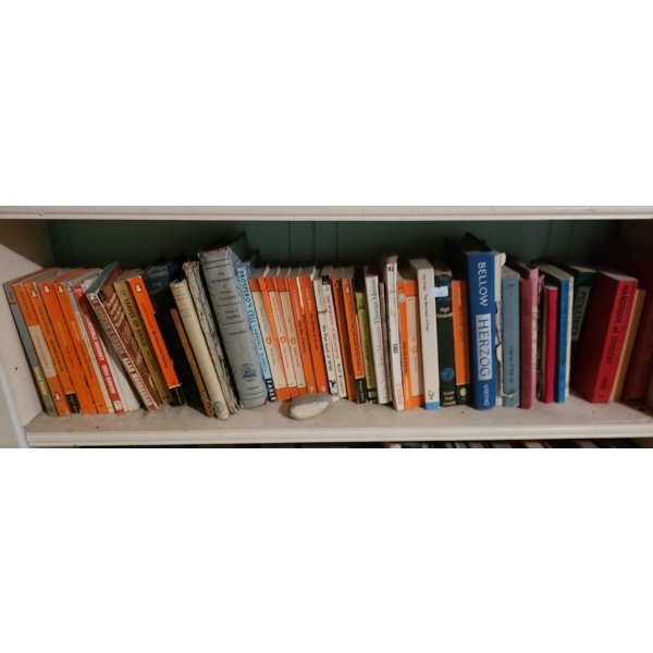 Classic Books Including: "Leaves of Grass", The Incredible Journey",  "Old Men at the Zoo" and More!